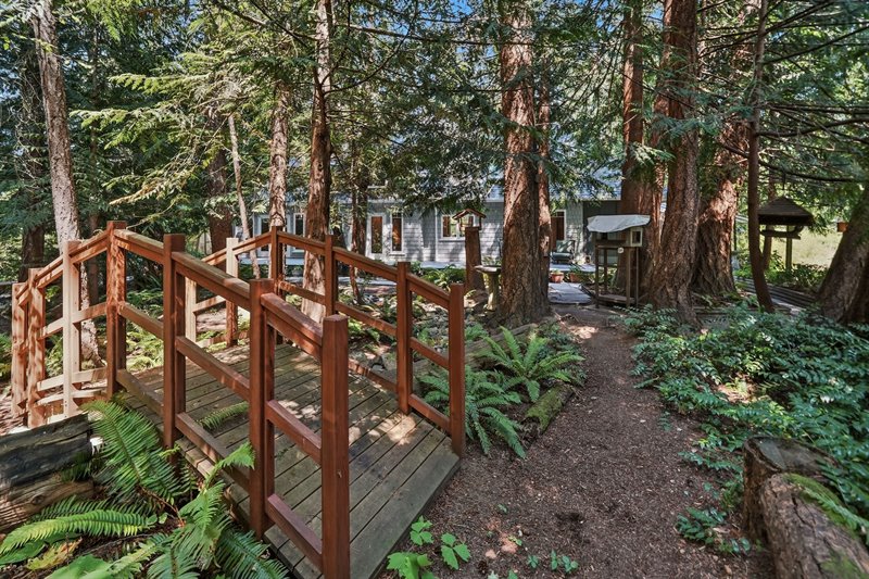 Woodland-Inspired Backyard