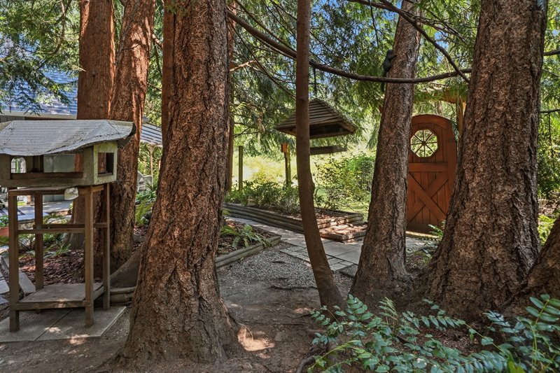 Woodland-Inspired Backyard