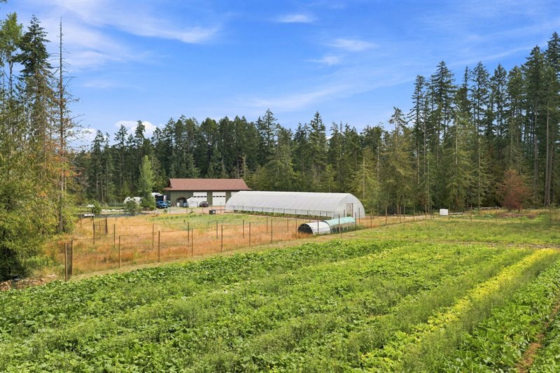 Productive Fields