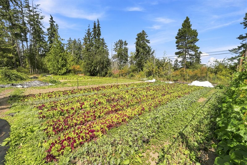 Productive Fields
