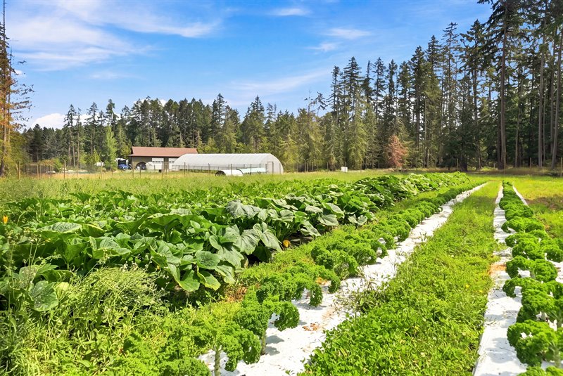 Productive Fields