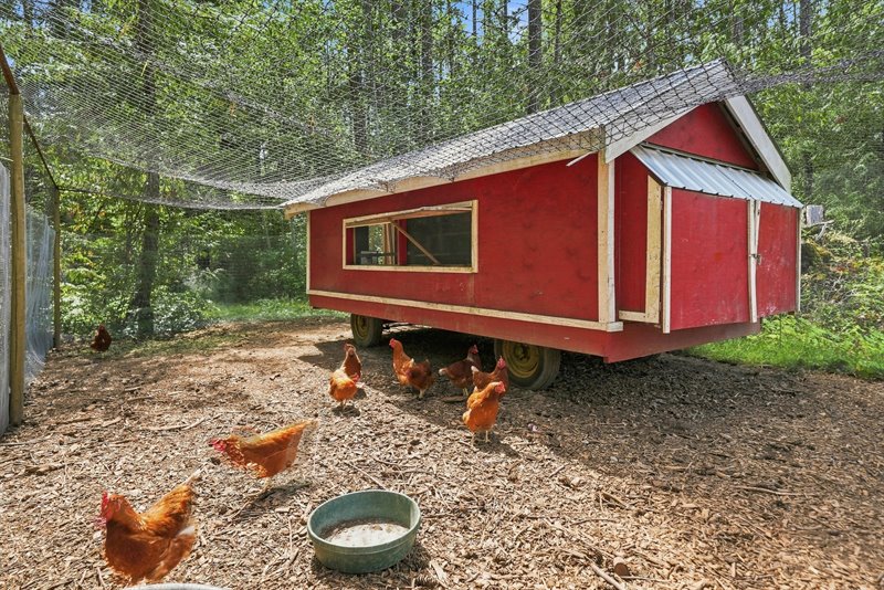 Chicken House & Run