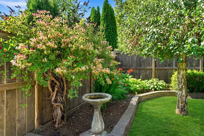 Exterior Back (Virtually Enhanced Landscaping)