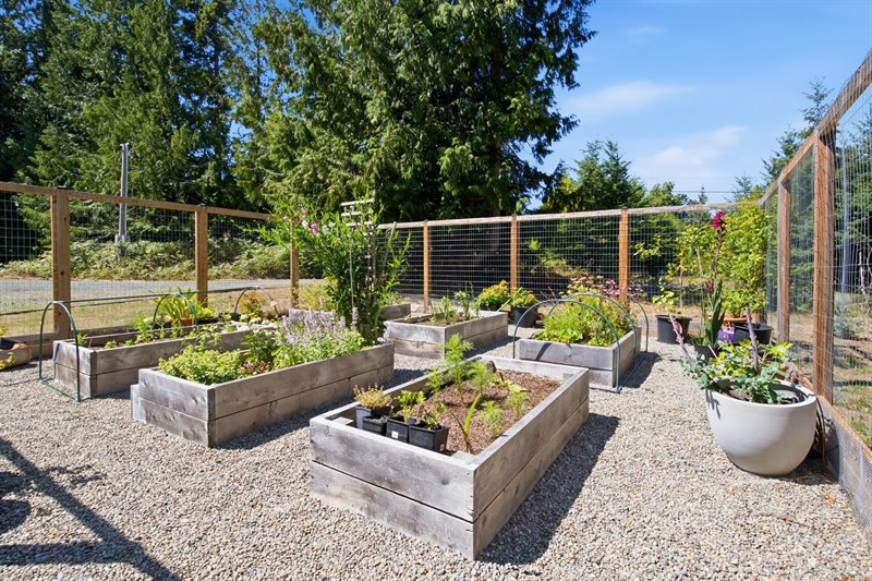 Garden Area
