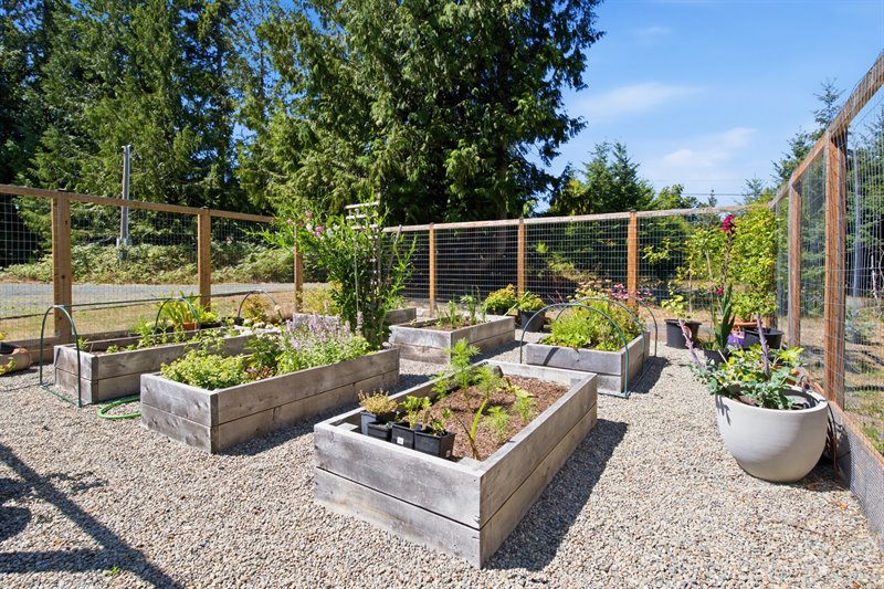 Garden Area