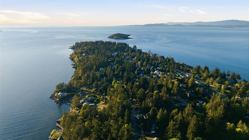 Area Overview - Beachcomber