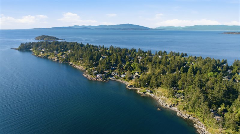 Area Overview - Beachcomber