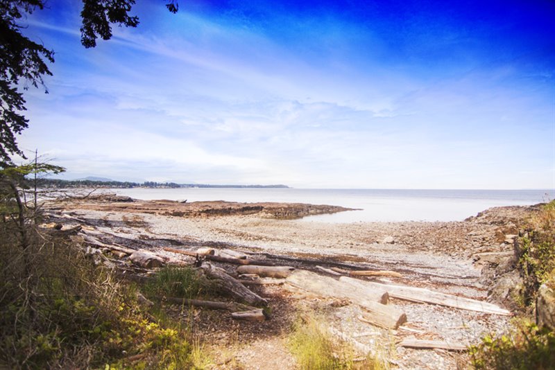 Beachcomber Regional Park