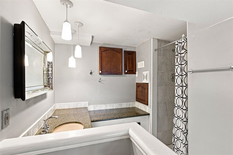 Lower Level Guest Suite - Bath
