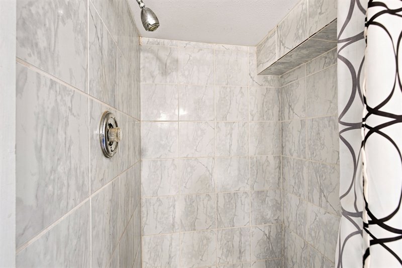 Lower Level Guest Suite - Bath