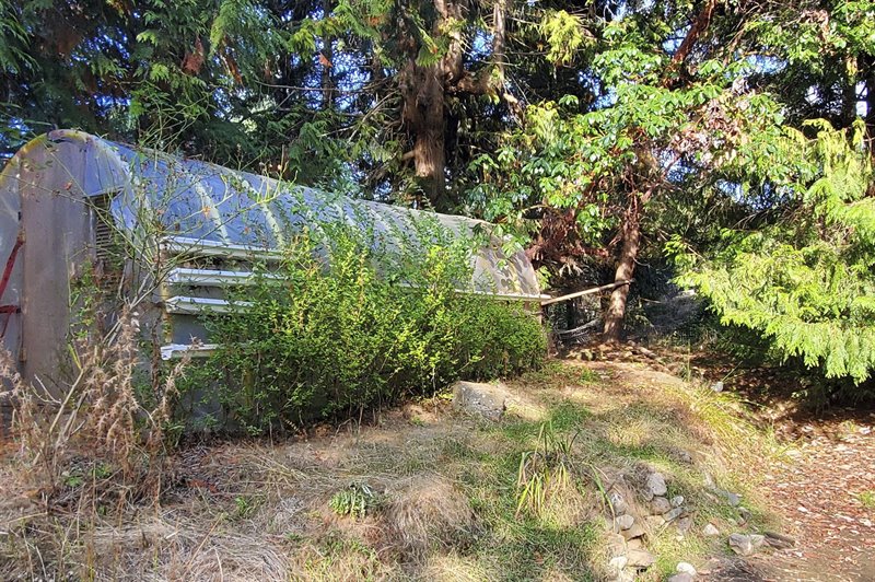 Large Greenhouse