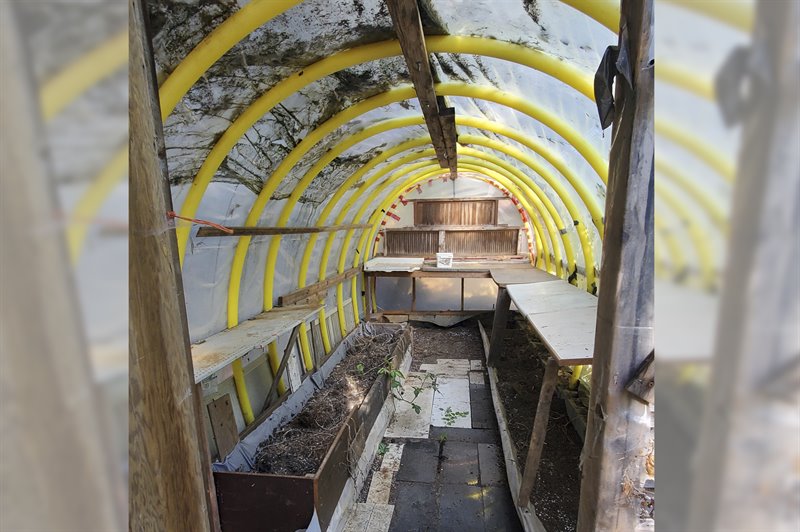 Large Greenhouse
