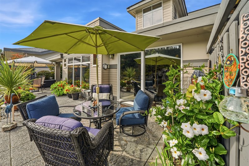 Back Patio