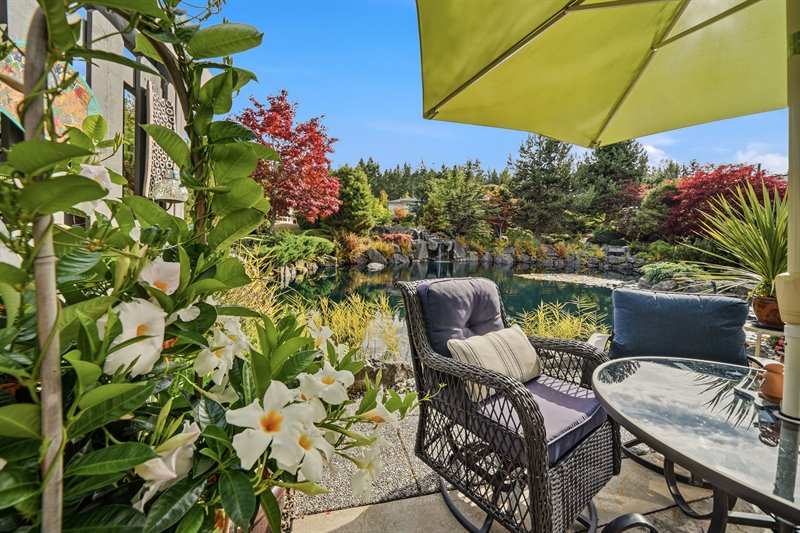 Back Patio