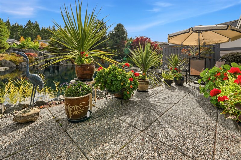 Back Patio