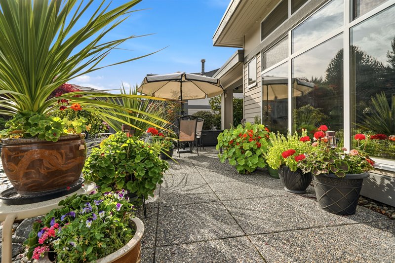 Back Patio