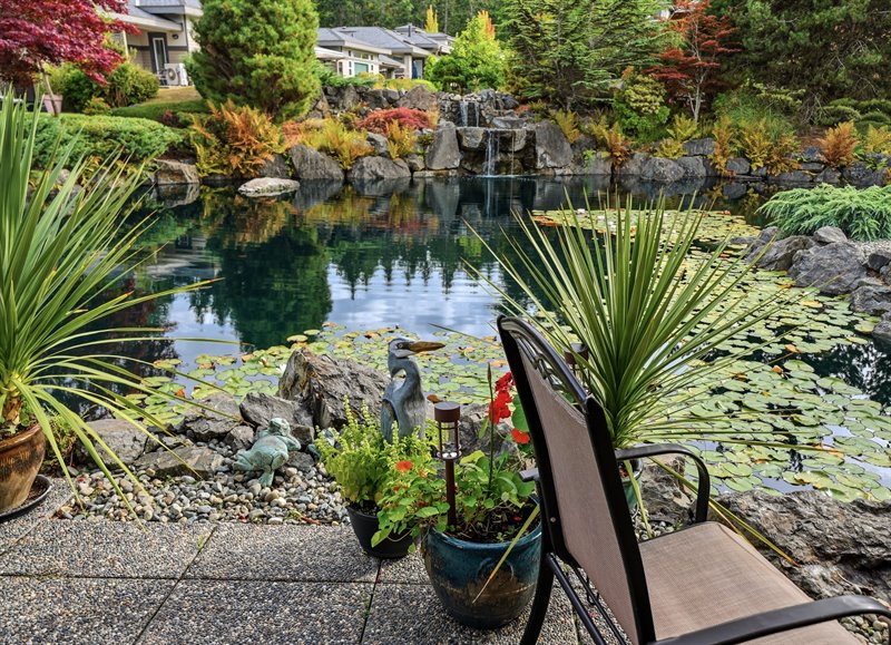 Back Patio