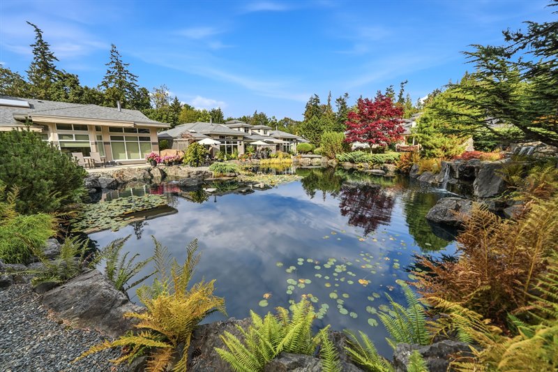 Pond