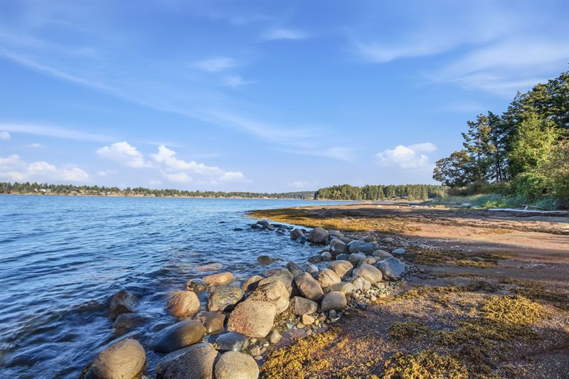 Waterfront 