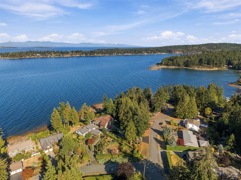 Aerial Overview