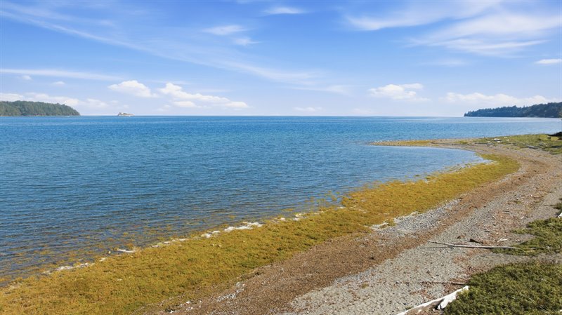 Waterfront
