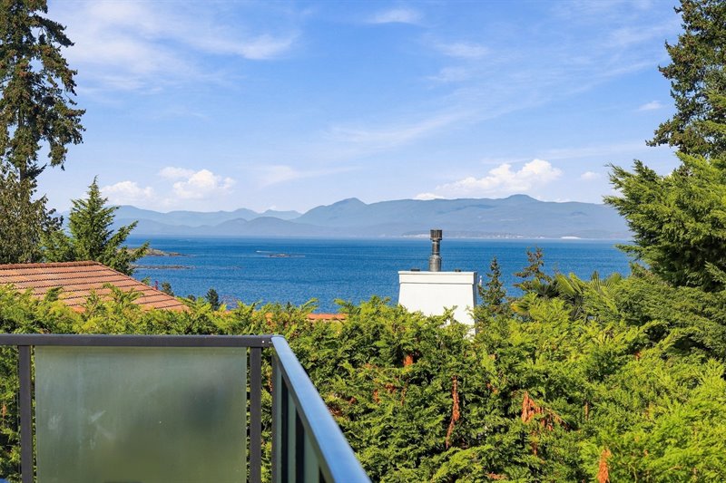 Deck View