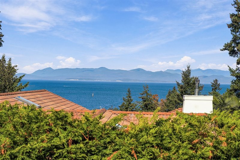 Deck View