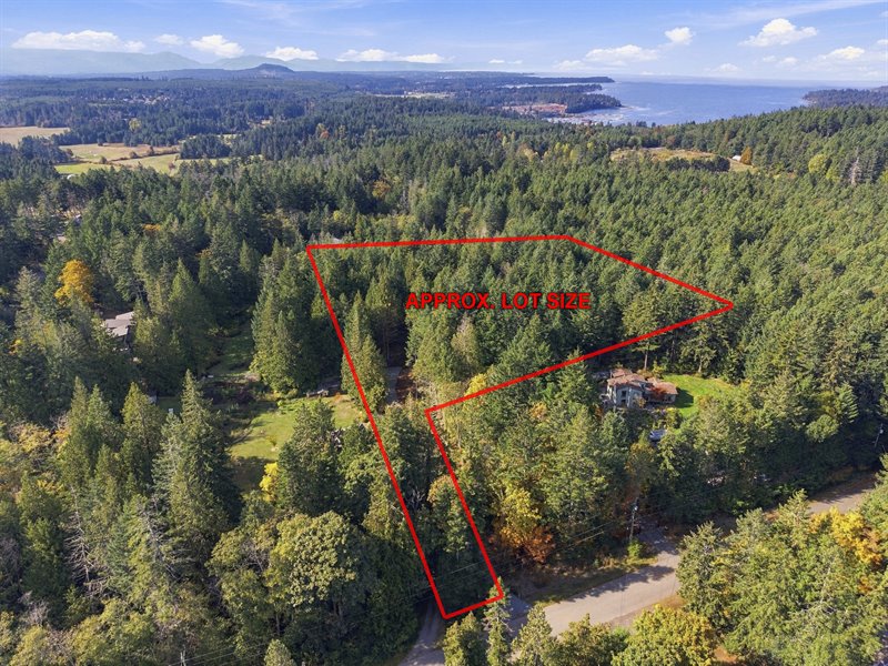 Aerial Overview