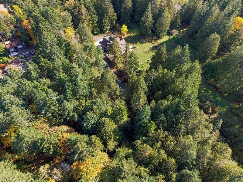 Aerial Overview