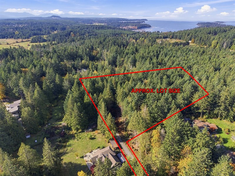 Aerial Overview