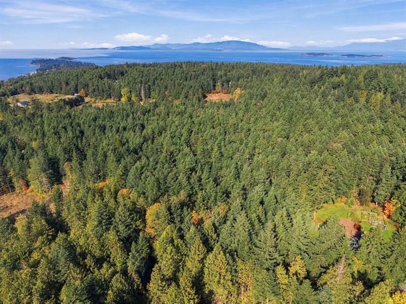 Area Overview
