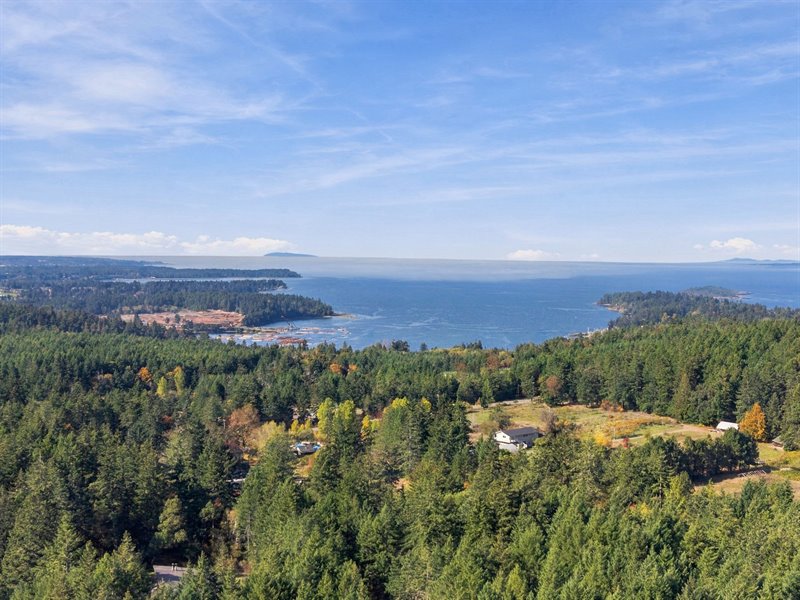 Area Overview
