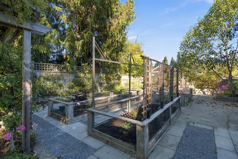 Garden Area & Greenhouse