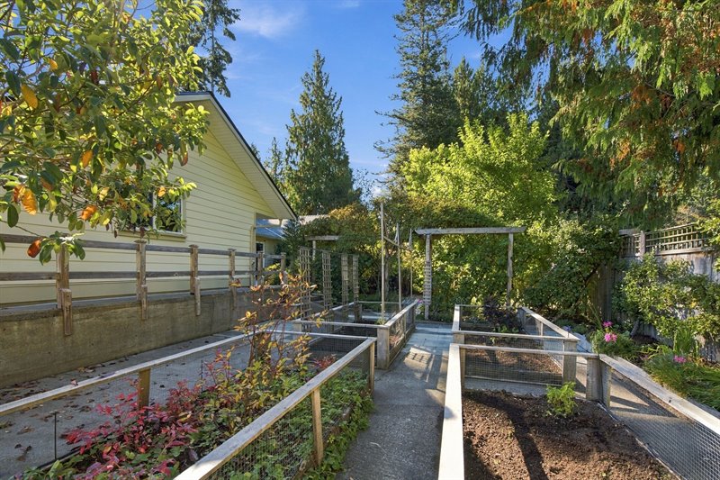 Garden Area & Greenhouse
