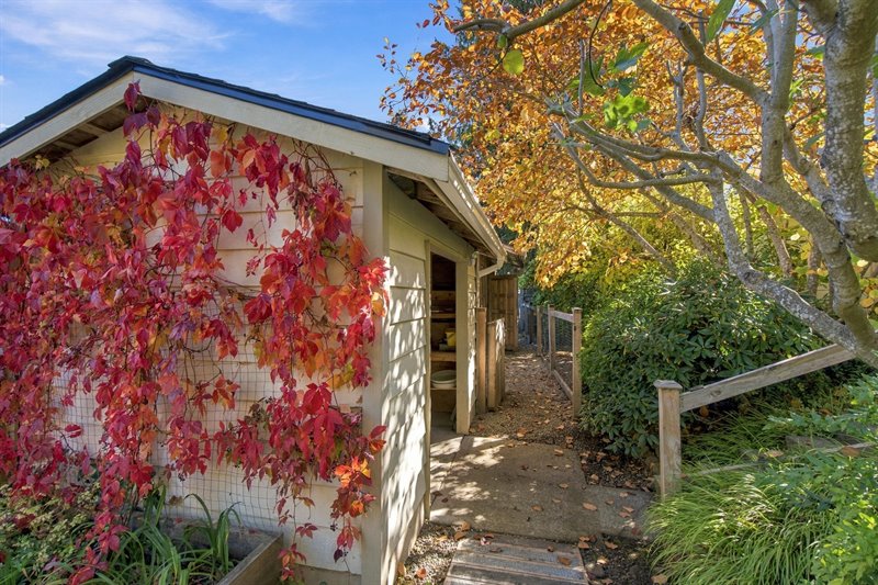 Shed 2