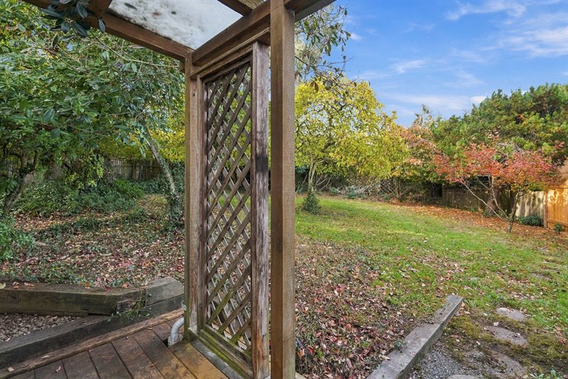 Back Deck
